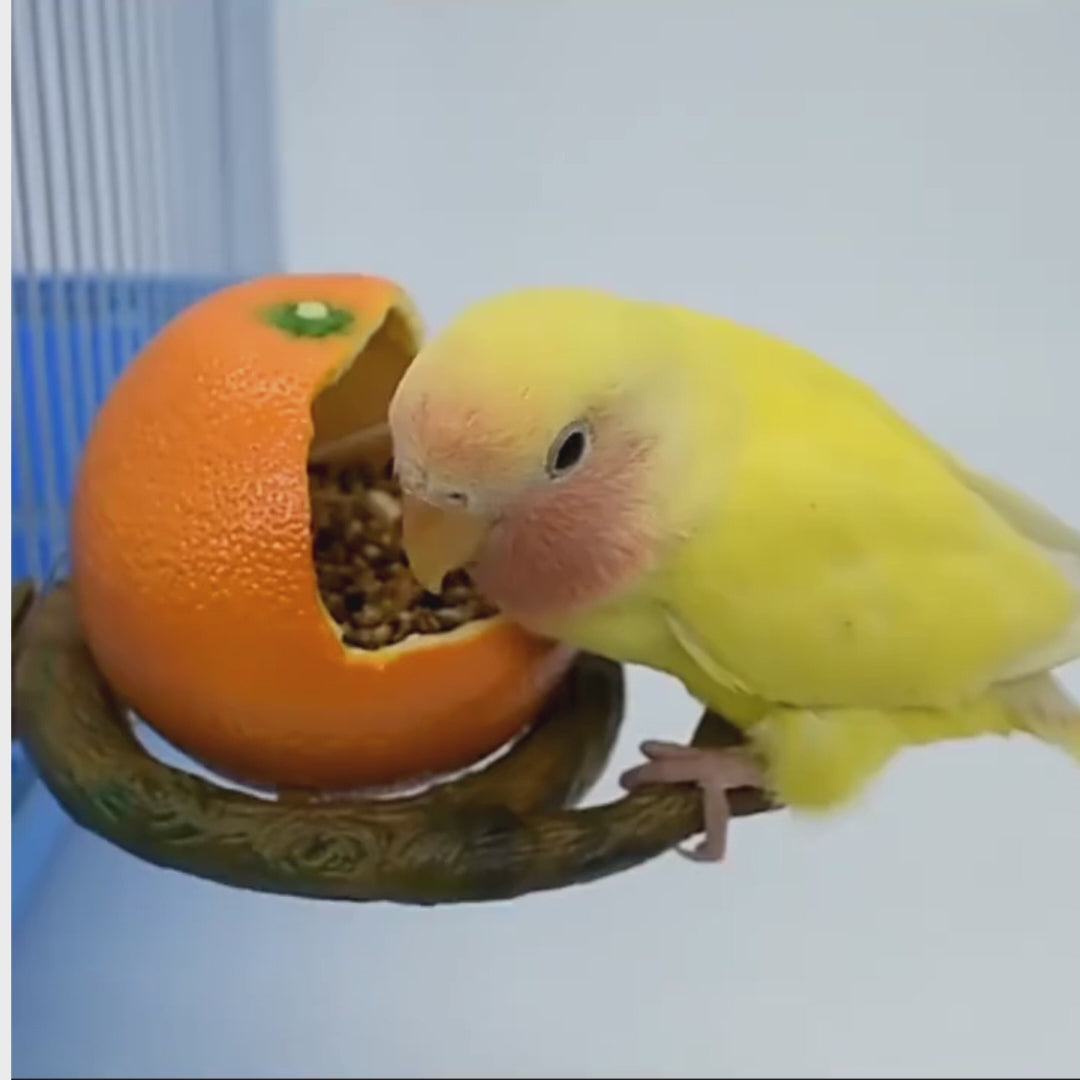 Fruit-Shaped Bird Feeder Bowl with Branch Stand | Bon Bon Bird Toys