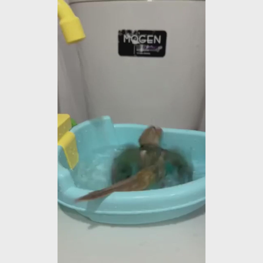Automatic Bird Bath with Faucet | Bon Bon Bird Toys