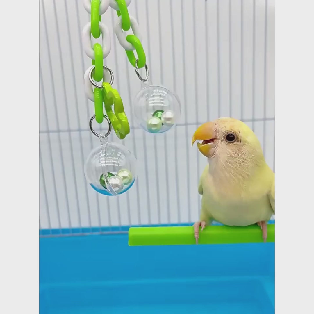 Transparent Hanging Ball Toy for Birds | Bon Bon Bird Toys