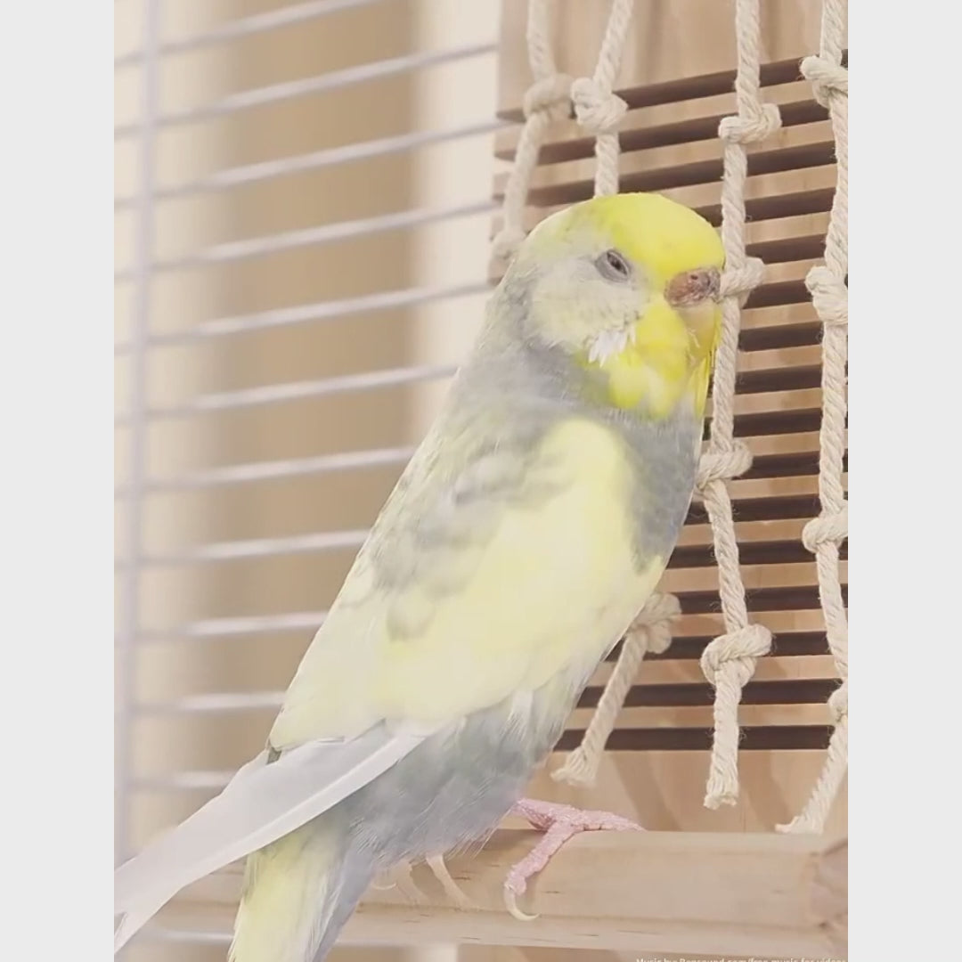 Slatted Wood Block Perch for Bird Cages | Bon Bon Bird Toys
