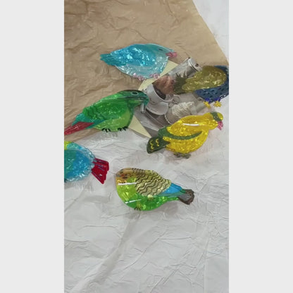 Parrot Hair Claw Clip