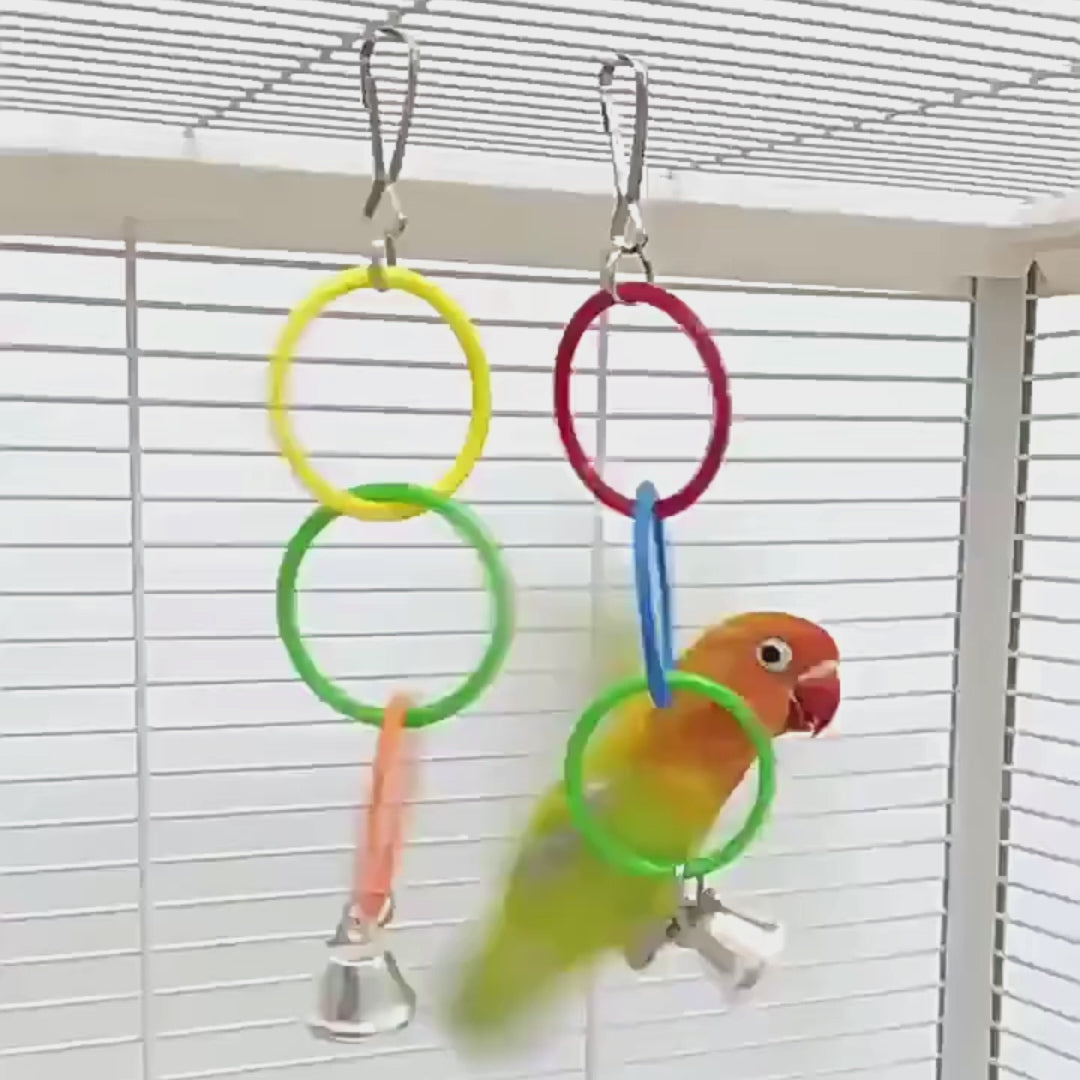 Colorful Ring Chain Swing Toy with Bell for Birds | Bon Bon Bird Toys