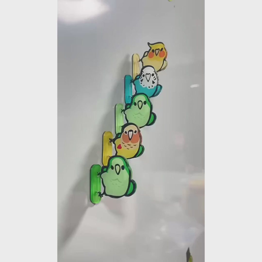 Chubby Bird Acrylic Fridge Magnets | Bon Bon Bird Toys