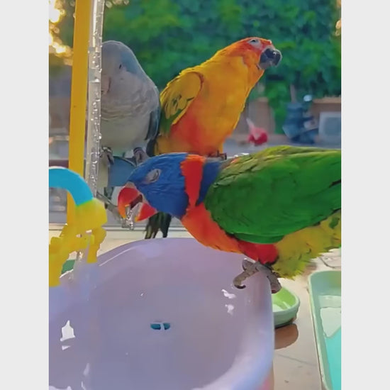 Bathtub Style Bird Bath with Motor | Bon Bon Bird Toys