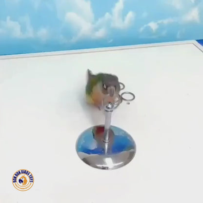 Ring toss bird toy | Bon Bon Bird Toys