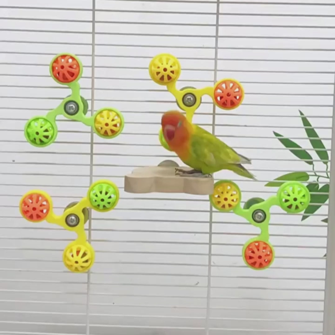 Spinning Ball Cluster Cage Toy for Birds | Bon Bon Bird Toys