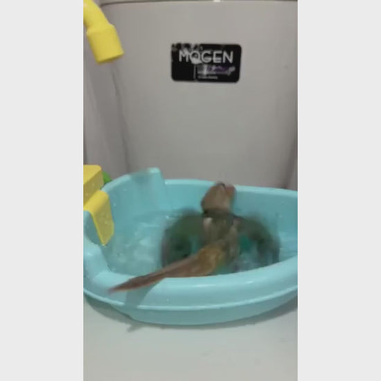 Freestanding Bird Bath with Circulating Faucet | Bon Bon Bird Toys