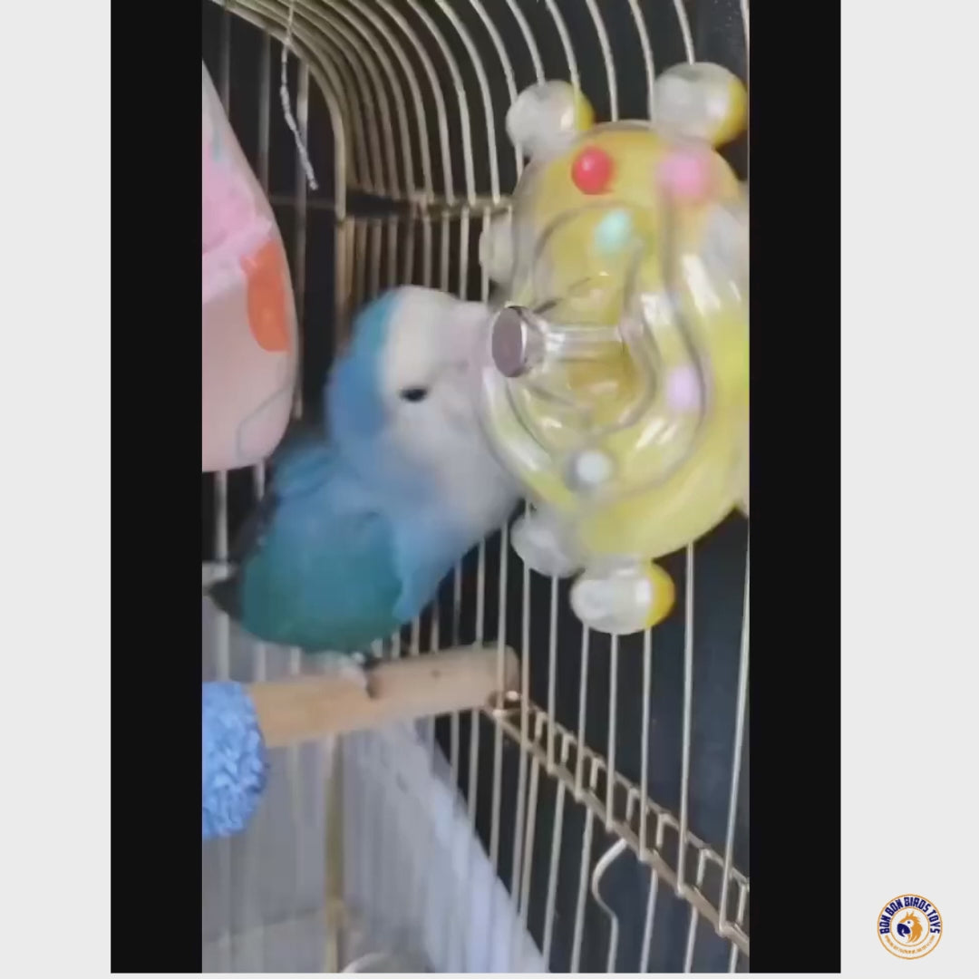 Spinning Ball Puzzle Toy for Birds | Bon Bon Bird Toys